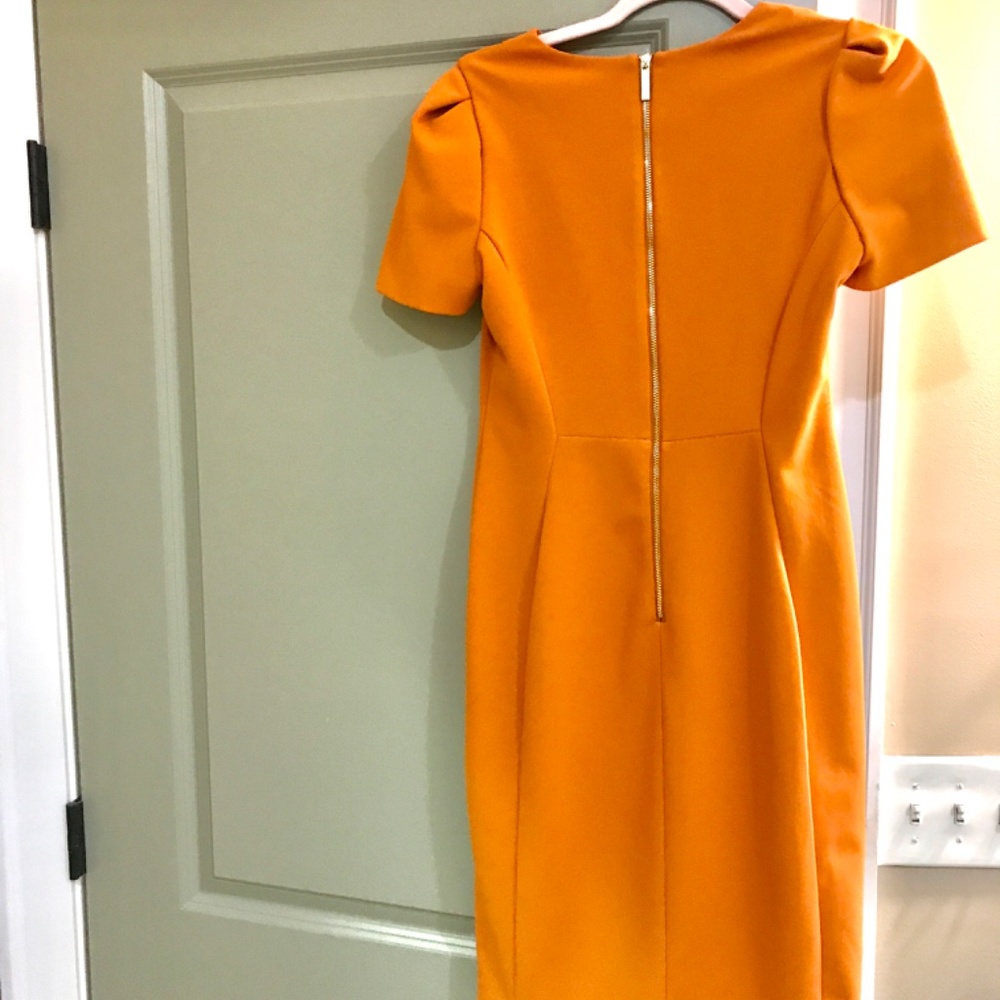 Orange Crush View 2